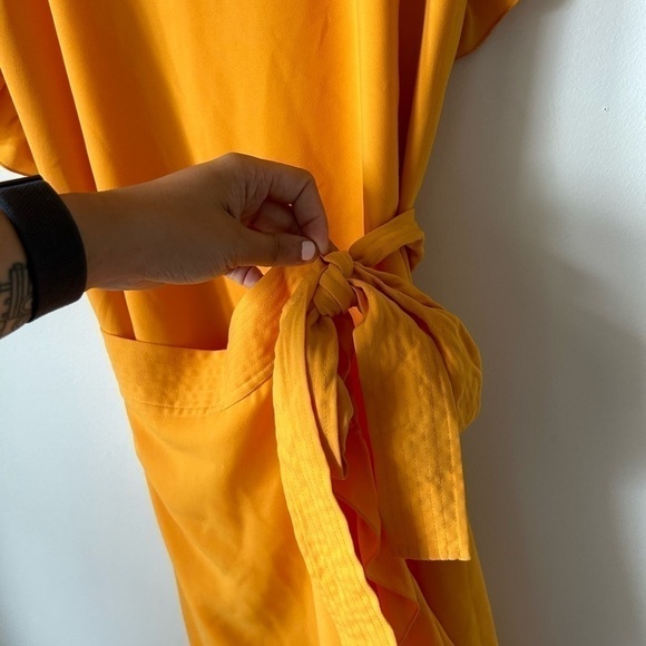 Wilfred Ninette Orange Mini Dress - Picture 3 of 5